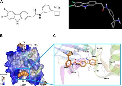 A novel small molecule, CU05-1189, targeting the pleckstrin homology domain of PDK1 suppresses VEGF-mediated angiogenesis and tumor growth by blocking the Akt signaling pathway